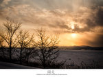 IMG_1095