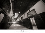 IMG_1207