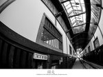 IMG_1261a
