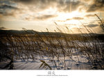 P1030616