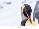 IMG_0717