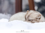 IMG_0815