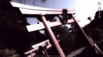 L1100485