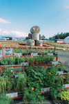 DSC07238