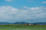 IMG_8680