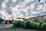 P1040619