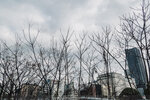 1-Hiroshima0035-P1480336