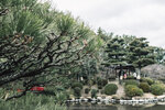 1-Hiroshima0040-P1480370