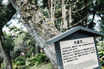 1-Hiroshima0044-P1480377