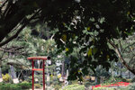 1-Hiroshima0052-IMG_1458