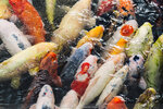 1-Hiroshima0053-IMG_1477