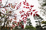 1-Hiroshima0058-IMG_1577