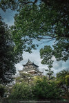 1-Hiroshima0073-P1480446