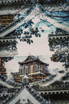 1-Hiroshima0075-IMG_1612