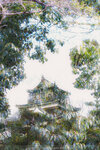 1-Hiroshima0076-IMG_1613