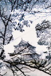 1-Hiroshima0077-IMG_1614