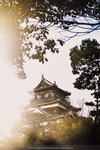 1-Hiroshima0080-IMG_1619
