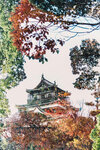 1-Hiroshima0085-IMG_1627
