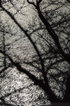 1-Hiroshima0090-IMG_1668