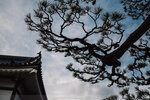 1-Hiroshima0096-P1480532