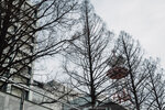1-Hiroshima0106-P1480562