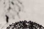 1-Hiroshima0111-IMG_1742