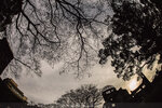 1-Hiroshima0112-IMG_1749