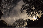 1-Hiroshima0119-IMG_1795