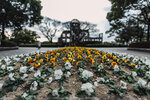 1-Hiroshima0141-IMG_1955