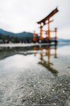 1-Hiroshima0196-IMG_2358