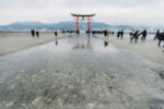 1-Hiroshima0212-IMG_2536