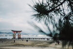 1-Hiroshima0221-P1490010