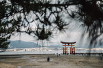 1-Hiroshima0223-P1490019