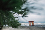 1-Hiroshima0243-P1490152