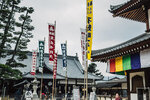 1-Hiroshima0246-P1490162