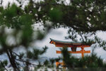 1-Hiroshima0259-IMG_2858