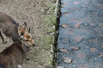 1-Hiroshima0277-IMG_2891