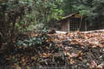1-Hiroshima0299-P1490324