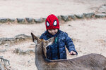 1-Hiroshima0358-IMG_3008
