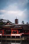1-Hiroshima0377-P1490480