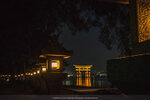 1-Hiroshima0412-P1490544