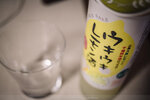 1-Hiroshima0438-P1490630