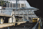 1-Hiroshima0452-IMG_3213