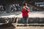 1-Hiroshima0457-IMG_3240