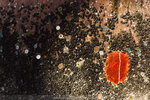1-Hiroshima0469-IMG_3348