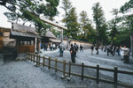 P1260176