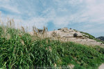 DSC07575