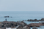 IMG_9265