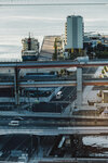 3-Kobe0131-IMG_6121