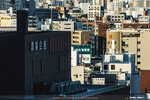 3-Kobe0139-IMG_6135